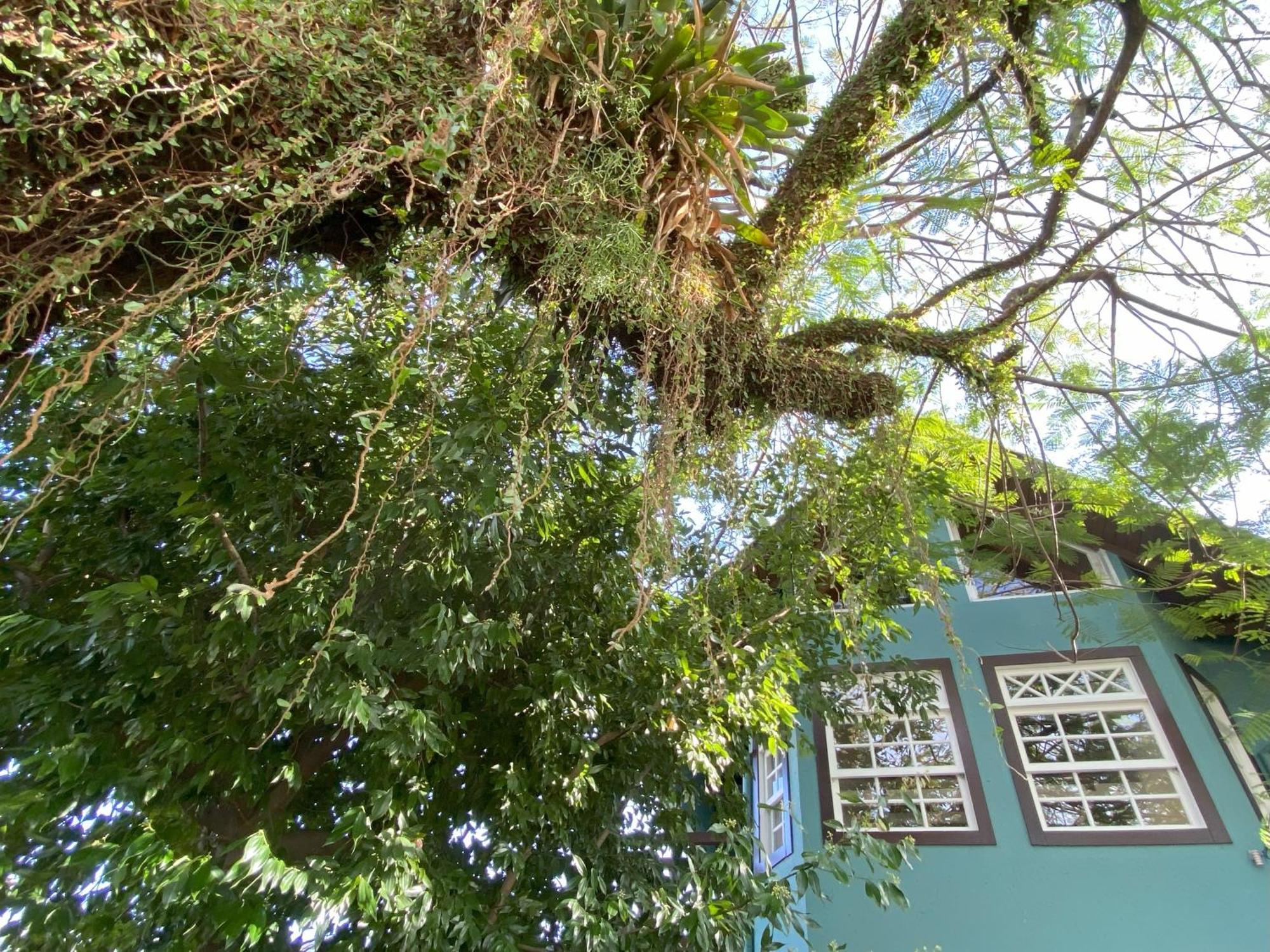 Solar Das Petalas Guest House Florianopolis Luaran gambar